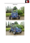 Go kart 196cc Lawn Mower Engine for high-end customer