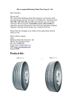Shandong Yinbao Tyre Group Co., Ltd