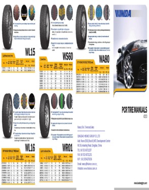 WINDA/ROADMAX Tire  WP15