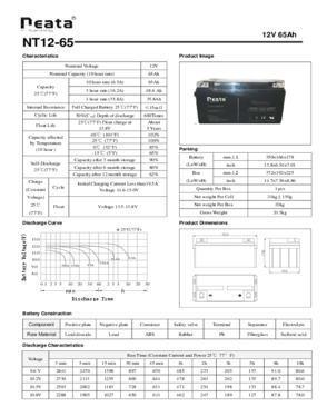 UPS Lead Acid Battery 12V 65Ah