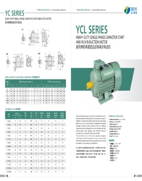 YCL Series Heavy-duty Single-phase Capacitor Start and Run Motor