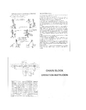 manual chain block