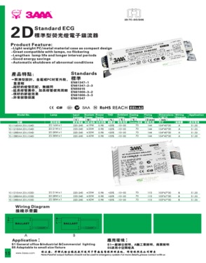 2D Electronic ballast 16w/21w/28w/38w