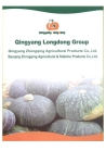 Chinese pumpkin seeds GWS, A grade