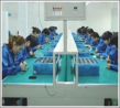 Ruian Chaoqiang Electronic Technology *****