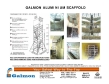 Galmon (Singapore) Private Limited