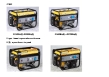 Gasoline Generator Set