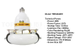 40W self ballasted induction lamp