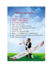 RC-6 chan-Skysurfer 2000mm (Brushless version)-airplane model/RTF/ARF/PNP/KIT
