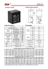 AGM battery