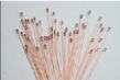 Glass Type NTC Thermistor