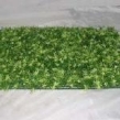 artificial grass