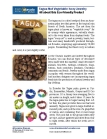 Tagua Ivory Bracelets