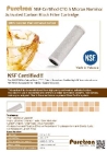 NSF Certified PURETRON 5 Micron Nominal Activated Carbon Block CTO NSF Carbon Filter             