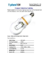 40W self ballasted induction lamp