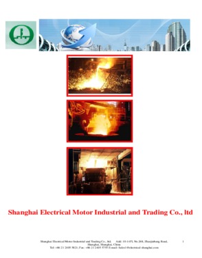 Shanghai Electrical Motor Industrial and Trading Company Limited