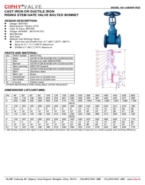 DUCTILE IRON RISING STEM GATE VALVE BOLTED BONNET