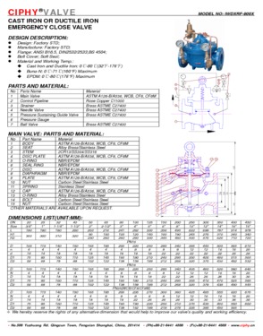 EMERGENCY CLOSE VALVE 900X