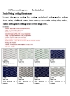 Sino Netting Co., Ltd