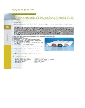 Cartridge Filter (PES Membrane Pleated Type)