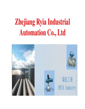 Zhejiang Ruiyi Industrial Automation Co., Ltd