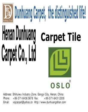 Henan Dunhuang Carpet Co., Ltd