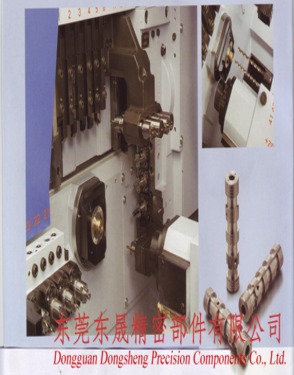 Dongguan Dongsheng Precision Components Co., Ltd.