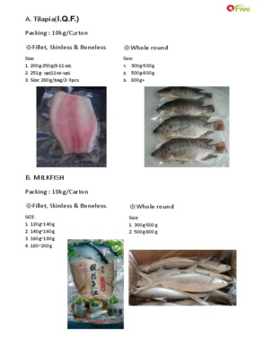 Forzen Tilapia fillets