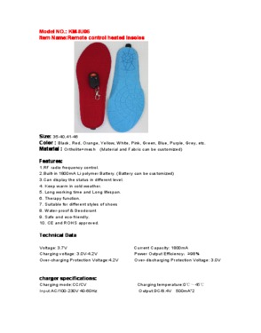 Rechargeable heated insoles with remote control