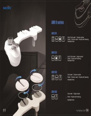 J1009 Patent Bidet with retractable nozzles