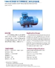 YBK2 Explosion Proof Motor