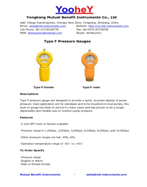 Type F mud gauges