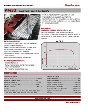 PM12 16 24 Swellex Rock Bolts