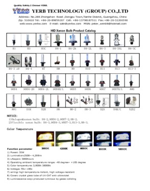 Guangzhou yerb technology Co; Ltd