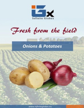 High Quality Potatoes For Export (Bintje And Challenger)