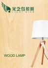Zhongshan lightingbird lighting company