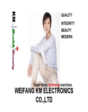 WEIFANG KM ELECTRONICS CO., LTD