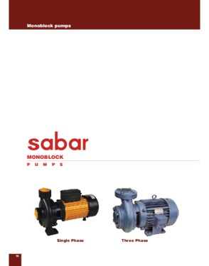 sabar export (i) pvt. ltd