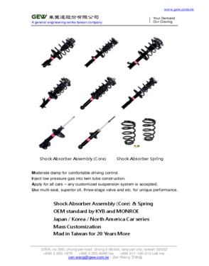 Shock Absorber Assembly