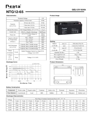 GEL Battery 12V 65AH