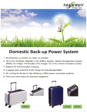 Domestic Backup Storage System