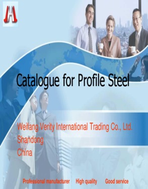 Weifang Verity International Trading Co., Ltd.