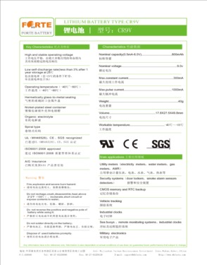 WuHan Forte Battery Co;Ltd