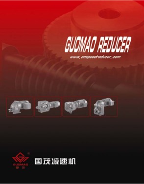 Shandong Guomao Guotai Reducer Co., Ltd