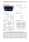 Sealed Lead Acid Battery