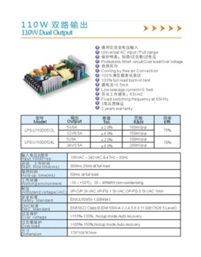 Power Supply Dual 110W 