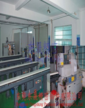 Dongguan Dongsheng Precision Components Co., Ltd.