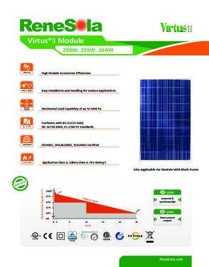 ReneSola 250W Polycrystalline Solar Panels