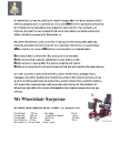 Mr Wheelchair