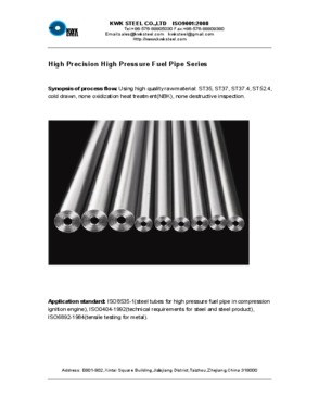 High Precision High Pressure Fuel Pipe Series